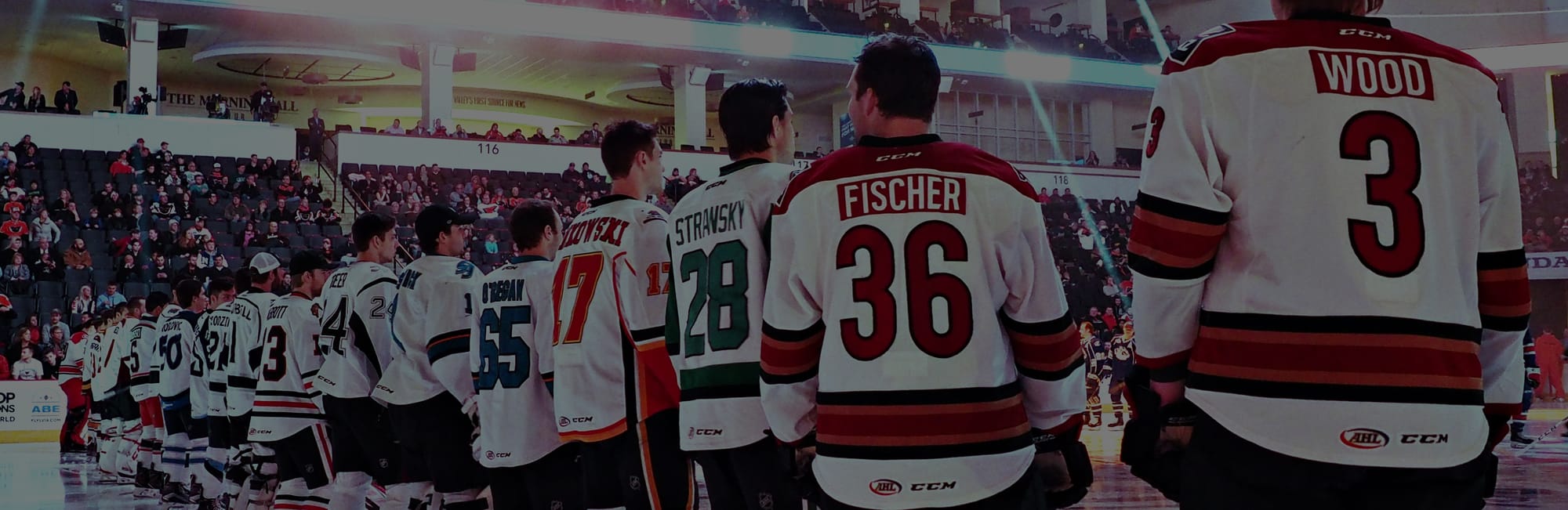 Inside AHL Hockey